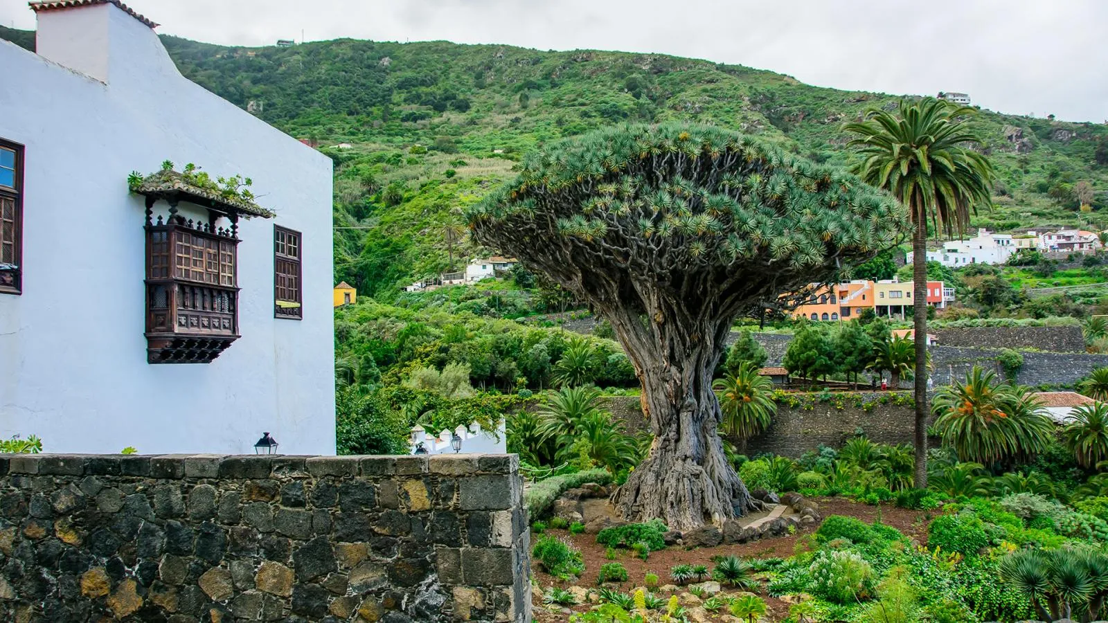 Icod de los Vinos, patrimonio y tradicion